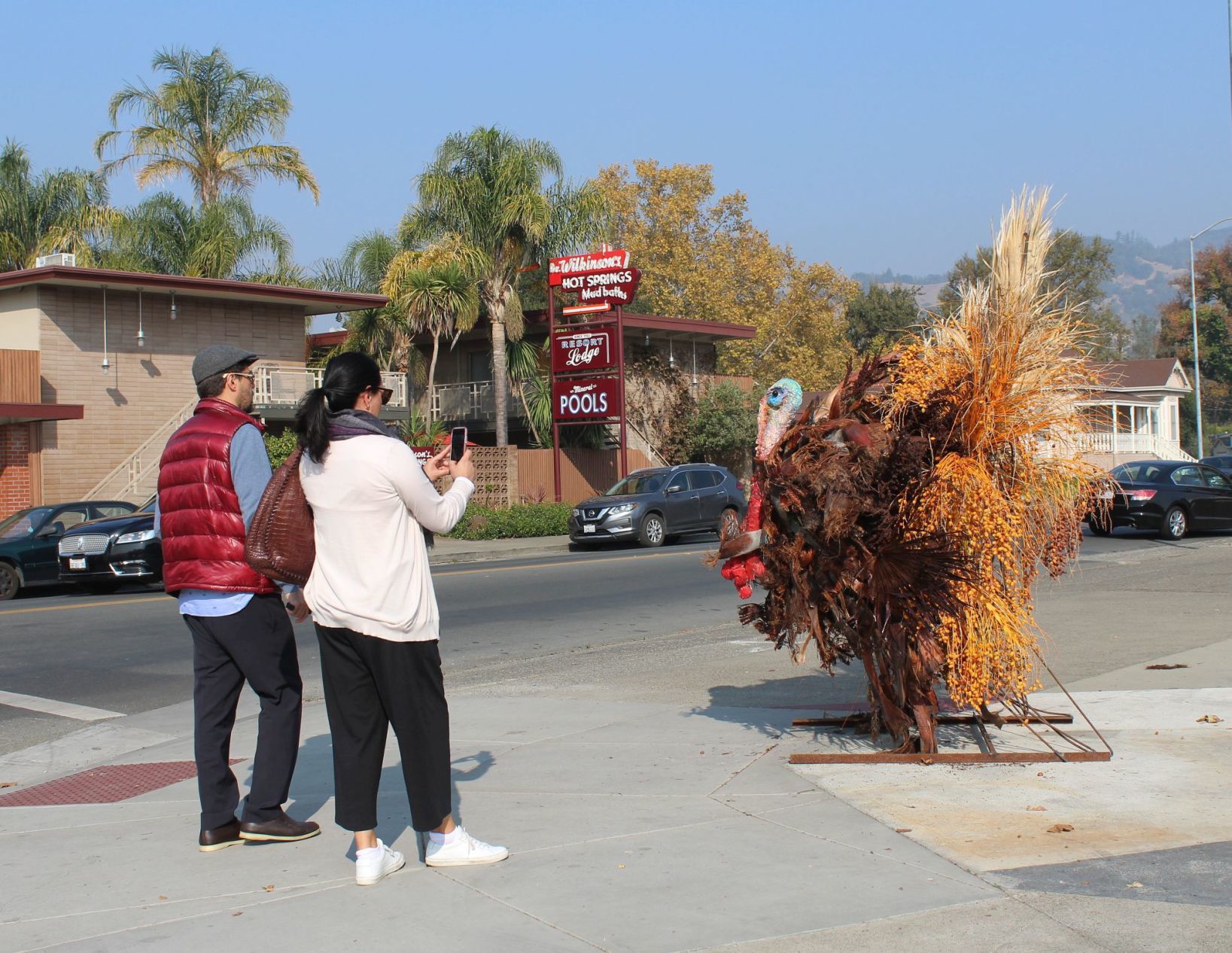 Mystery turkey